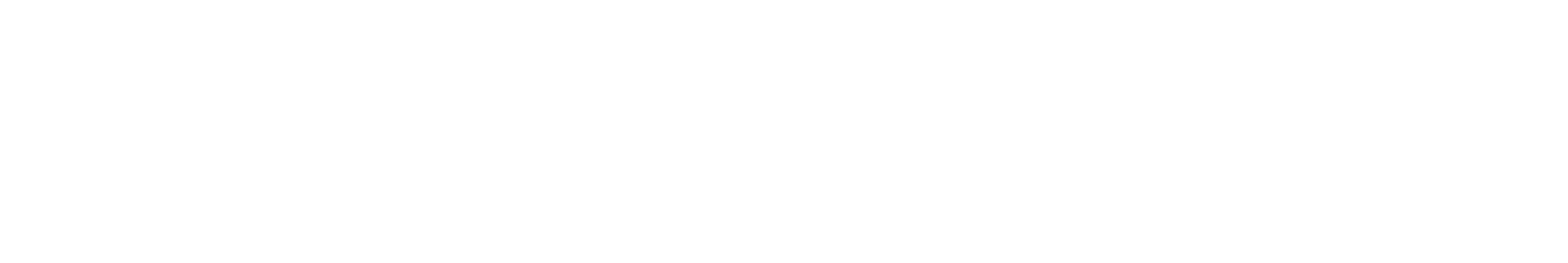 mybestcheck logo
